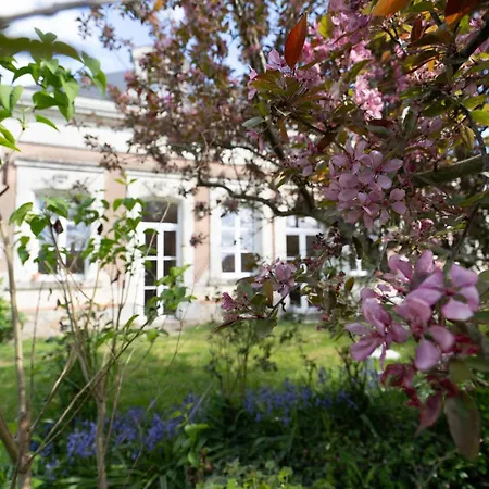 Narcisse Bienvenue - Elegance Et Raffinement Saint-Mathurin (Maine-et-Loire)