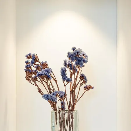 Narcisse Bienvenue - Elegance Et Raffinement Saint-Mathurin (Maine-et-Loire)