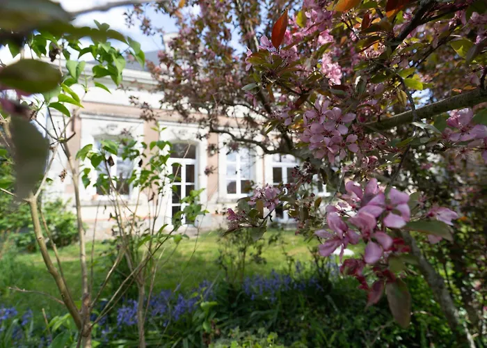 Narcisse Bienvenue - Elegance Et Raffinement Saint-Mathurin (Maine-et-Loire)