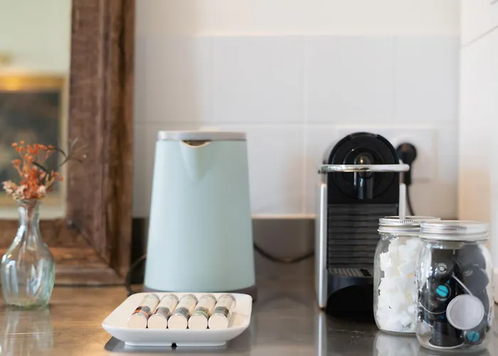 Narcisse Bienvenue - Elegance Et Raffinement *