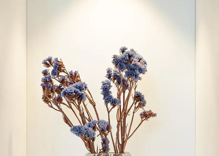 Narcisse Bienvenue - Elegance Et Raffinement Saint-Mathurin (Maine-et-Loire)